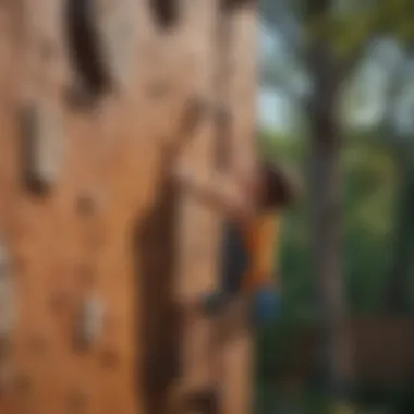 Children Engaging in Climbing Wall Activity