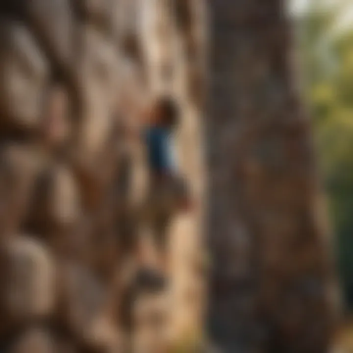 Children playing and climbing on a playhouse with a rock wall