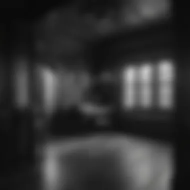 Dynamic Contrasts: Black and White Playhouse Interior Contrasting Black and White Playhouse Interior