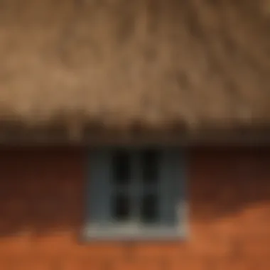 Playful Thatch Roof Covering