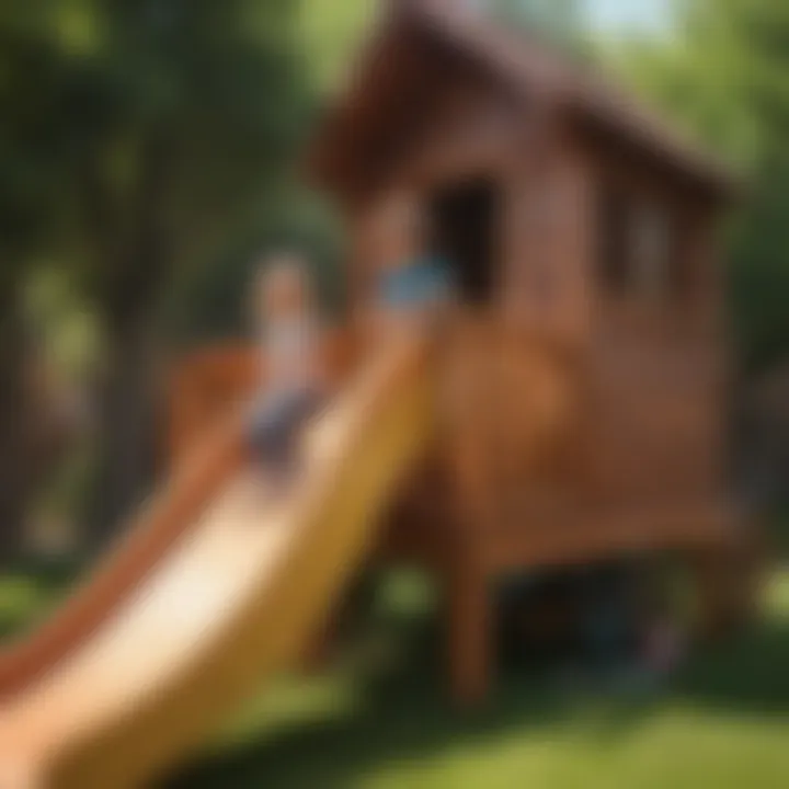 Educator demonstrating playhouse slide features to children