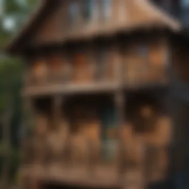Artisan Craftsmanship Showcase Close-up of intricate detailing on the playhouse exterior