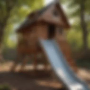 Joyful Outdoor Playhouse Slide Experience