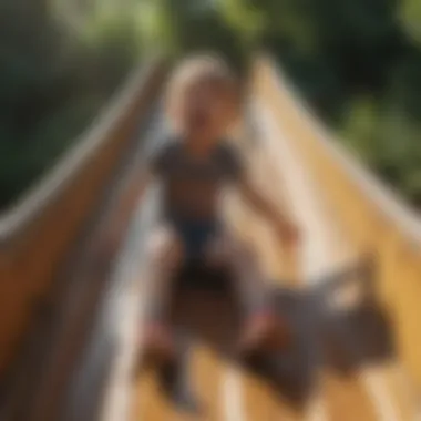 Joyful Adventures: Kids Having Fun on Outdoor Slides Kids Having Fun on Outdoor Slide