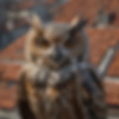 Owl Mosaic Adorning Architectural Roof