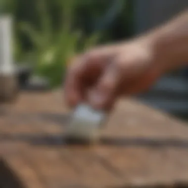 Applying the Paint Paintbrush applying fresh coat of paint to outdoor wood