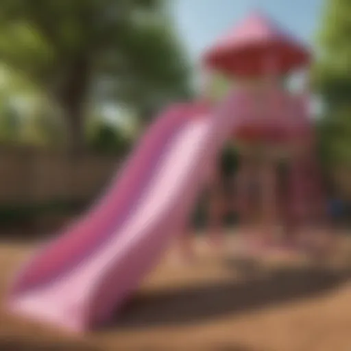 Pink Slide Outdoor Play Area Design