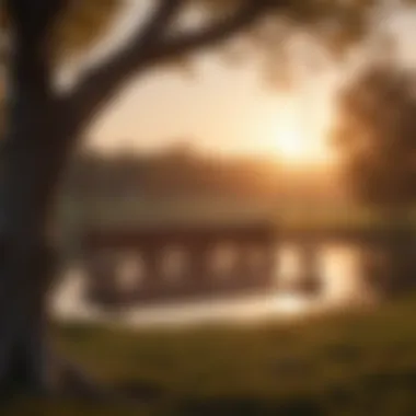 Wooden Tree Swing Against Sunset Sky